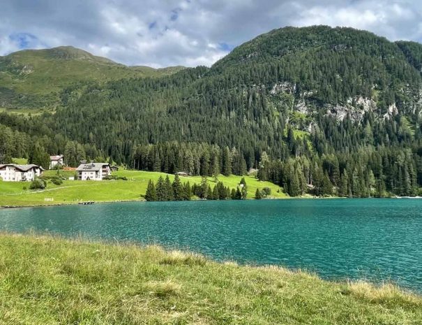 davos-see4