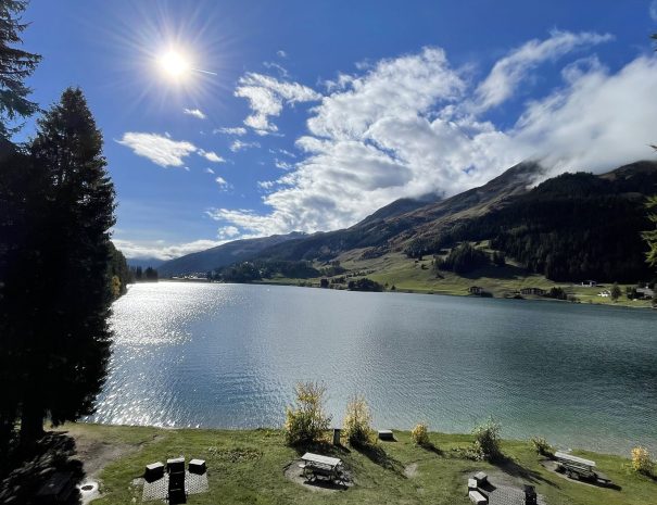 davbos-sommer-see