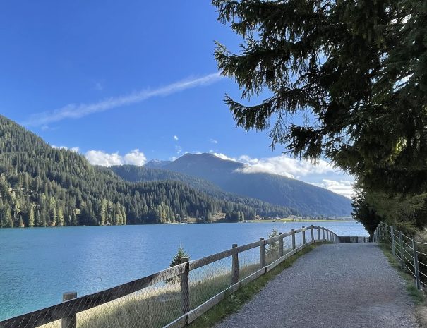 davos-fewo