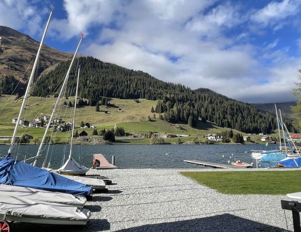 davos-sommer1